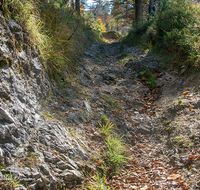 fileadmin/roha/images_galerie/orte_landschaft/Bad_Reichenhall/BAD-REI-SALZSAEUM-0001-01-D-roha-Bad-Reichenhall-Jochberg-Weg-Salz-Saeumer-Wagen-Spur.png