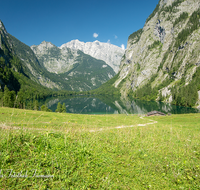 fileadmin/roha/images_galerie/orte_landschaft/Berchtesgaden/Koenigssee/BGD-KOE-OBERS-0036-D-roha-Berchtesgaden-Obersee-Koenigssee-Wasser-Fischunkelalm.png