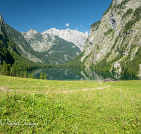 fileadmin/roha/images_galerie/orte_landschaft/Berchtesgaden/Koenigssee/BGD-KOE-OBERS-0036-D-roha-Berchtesgaden-Obersee-Koenigssee-Wasser-Fischunkelalm.png