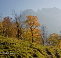 fileadmin/roha/images_galerie/orte_landschaft/Berchtesgaden/Ramsau/BGD-RA-LAN-0029-D-roha-Berchtesgaden-Ramsau-Hochkalter-Alm-Herbst-Landwirtschaft.png