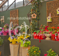 fileadmin/roha/images_galerie/Baum-natur-garten/Gaertnerei/BL-GAERTN-0025-D-roha-Blumen-Gewaechshaus-Gaertnerei-Dekoration-Dekomaterial-Ausstellung.jpg