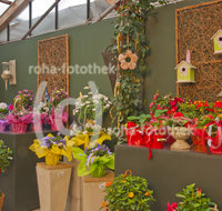 fileadmin/roha/images_galerie/Baum-natur-garten/Gaertnerei/BL-GAERTN-0025-D-roha-Blumen-Gewaechshaus-Gaertnerei-Dekoration-Dekomaterial-Ausstellung.jpg