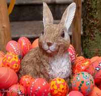 fileadmin/roha/images_galerie/brauchtum/Ostern/BR-OST-BRUNNEN-0006-1-1-D-roha-Brauchtum-Ostern-Osterbrunnen-Bad-Reichenhall-Florianiplatz-Ostereier-Hase.png