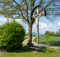 fileadmin/roha/images_galerie/kirche_religion/Saaldorf/KKKM-SAALD-KEM-0020-D-roha-Wegkreuz-Saaldorf-Kemating-Feldweg-Fruehling.png