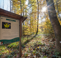 fileadmin/roha/images_galerie/orte_landschaft/Laufen/Osinger-Wald/LAUF-OSI-WA-0001-1226-D-roha-Laufen-Osinger-Wald-Lehrpfad-Hinweistafel.png