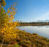 fileadmin/roha/images_galerie/orte_landschaft/Petting/Schoenramer-Moor/PE-SCHOENR-MOOR-0046-01-20-D-roha-Petting-Schoenramer-Moor-Moorsee-Herbst.png