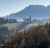 fileadmin/roha/images_galerie/orte_landschaft/Piding/PID-JOHAN-0006-2-D-roha-Piding-Johannishoegl-Herbst.png