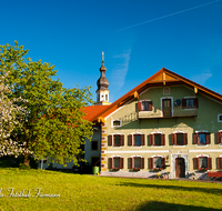 fileadmin/roha/images_galerie/orte_landschaft/Saaldorf/SAAL-0017-1-D-roha-Saaldorf-Bauernhaus-Kirche-Zwiebelturm.png