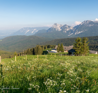 fileadmin/roha/images_galerie/orte_landschaft/Stoisser-Alm/TEI-STO-0029-11-02-D-roha-Teisendorf-Anger-Stoisseralm-Untersberg-Blumenwiese-Almwiese.png