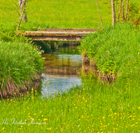 fileadmin/roha/images_galerie/wasser/WAS-BACH-RAIT-0001-D-roha-Wasser-Bach-Blumenwiese-Raiten-Schleching.png