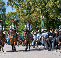 fileadmin/roha/images_galerie/orte_landschaft/Ainring/Trachtenfest/BR-FEST-FELDK-TRACH-2019-08-18-1141-D-roha-Brauchtum-Fest-Feldkirchen-Trachtenverein-Ainring-Festzug.png