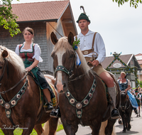 fileadmin/roha/images_galerie/brauchtum/Leonhardiritt/Holzhausen_01/Holzhausen-Ritt-2019/BR-PFRI-HOLZ-2019-1038-01-D-roha-Brauchtum-Pferdeumritt-Leonhardiritt-Holzhausen-Teisendorf.png