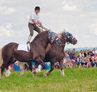 fileadmin/roha/images_galerie/brauchtum/Leonhardiritt/Holzhausen_01/Kaltblutfest/BR-PFRI-HOLZ-KALTBL-0100-D-roha-Brauchtum-Kaltblut-Pferd-Fest-Holzhausen.png