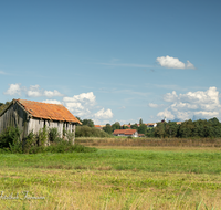 fileadmin/roha/images_galerie/orte_landschaft/Haarmoos/HAARM-0048-05-D-roha-Abtsdorf-Laufen-Haarmoos-Stadel-Saaldorf.png