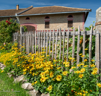 fileadmin/roha/images_galerie/orte_landschaft/Laufen/LANDA-BLUMENSCHM-LEOB-0002-D-roha-Landart-Blumenschmuck-Leobendorf-Garten.png