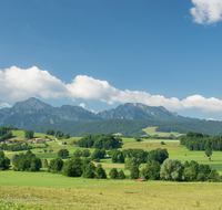 fileadmin/roha/images_galerie/orte_landschaft/Teisendorf/IN-LANDS-Teisendorf/LANDS-TEIS-VACH-0005-D-roha-Landschaft-Teisendorf-Anger-Vachenlueg-Hochstaufen.png