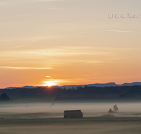 fileadmin/roha/images_galerie/Hintergrund-Download/1600x1200/SO-AU-HAARM-0015-04-D-roha-Sonne-Sonnenaufgang-Haarmoos-Nebel.png