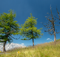 fileadmin/roha/images_galerie/orte_landschaft/Berchtesgaden/Jenner-Schoenau/BGD-JENN-GOTZ-0001-04-D-roha-Berchtesgaden-Jenner-Gotzen-Alm-Watzmann.png