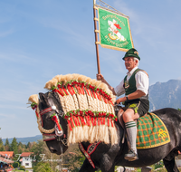 fileadmin/roha/images_galerie/brauchtum/Leonhardiritt/Inzell/BR-PFRI-INZ-0036-D-roha-Brauchtum-Pferdeumritt-Inzell-Michaeliritt-Pferd-Reiter.png