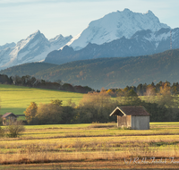 fileadmin/roha/images_galerie/Hintergrund-Download/1280x1024/HAARM-0004-1-1-D-roha-Abtsdorf-Haarmoos-Sonnenaufgang-Watzmann-Stadel-Lattengebirge.png