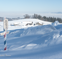 fileadmin/roha/images_galerie/orte_landschaft/Teisendorf/Neukirchen/LANDA-GRENZE-WI-0002-D-roha-Landart-Grenze-Winter-Bayern-Chiemgau-Salzburg-Rupertiwinkel-historisch-Teisendorf-Siegsdorf.png