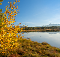 fileadmin/roha/Interessantes-in-Kurzform/ab-5-2023/PE-SCHOENR-MOOR-0046-01-20-D-roha-Petting-Schoenramer-Moor-Moorsee-Herbst.png