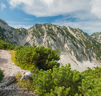 fileadmin/roha/images_galerie/orte_landschaft/Piding/PID-HOCHST-0010-D-roha-Piding-Hochstaufen-Weg.png