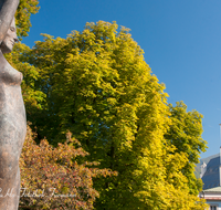 fileadmin/roha/images_galerie/orte_landschaft/Salzburg/Mirabell-Zwergerlgarten/SA-MIRA-GART-FIG-0005-D-roha-Salzburg-Mirabell-Garten-Figur-Bronze-Dame-Kirche.png