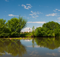 fileadmin/roha/images_galerie/orte_landschaft/Teisendorf/TEI-SUED-OST-0042-D-roha-Teisendorf-Sued-Ost-Weiher-Seerosen-Spiegelung-Kirche.png