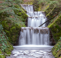 fileadmin/roha/images_galerie/wasser/WAS-WILDB-HOEGLW-0006-8-07-D-roha-Wasser-Bach-Hoeglwoerth.png