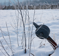 fileadmin/roha/images_galerie/orte_landschaft/Ainring/AINR-MOOR-WIN-0007-D-roha-Ainring-Moor-Winter-Schnee-Torfbahn-Weiche.png