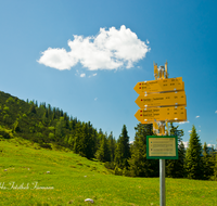 fileadmin/roha/images_galerie/orte_landschaft/Bad_Reichenhall/BAD-REI-PRED-0005-D-roha-Bad-Reichenhall-Predigstuhl-Beschilderung-Wanderweg.png