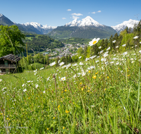 fileadmin/roha/images_galerie/orte_landschaft/Berchtesgaden/Markt-Berchtesgaden/BGD-0011-02-D-roha-Berchtesgaden-Watzmann-Blumenwiese-Fruehling.png