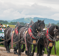 fileadmin/roha/images_galerie/brauchtum/Leonhardiritt/Holzhausen_01/BR-PFRI-HOLZ-2015-0062-D-roha-Brauchtum-Pferdeumritt-Holzhausen-Teisendorf-Leonhardiritt-Gespann-Trachtler.png