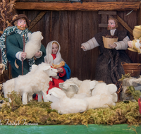 fileadmin/roha/images_galerie/brauchtum/Weihnachten-Krippen/BR-WEIH-KRI-0041-D-roha-Brauchtum-Weihnachten-Krippe-Maria-Josef-Jesuskind-Stall.png