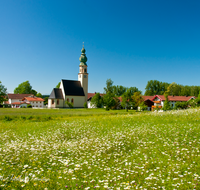 fileadmin/roha/images_galerie/orte_landschaft/Palling/PALL-BRUEN-0001-D-roha-Palling-Bruenning-Kirche-Blumenwiese-Fruehling.png