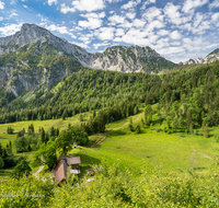 fileadmin/roha/images_galerie/orte_landschaft/Piding/PID-STEIN-ALM-0015-0-07-D-roha-Piding-Steiner-Alm-Hochstaufen-Mittelstaufen-Zwiesel.png