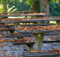 fileadmin/roha/images_galerie/orte_landschaft/Abtsdorf-Abtsdorfer-See/ABTS-SEE-STIM-HER-0001-0-01-D-roha-Abtsdorfer-See-Herbst-Laub-Tisch-Stimmung.png