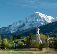 fileadmin/roha/Interessantes-in-Kurzform/AN-HOE-0020-15-D-roha-Anger-Hoeglwoerth-Hochstaufen-Fruehling.png