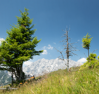 fileadmin/roha/images_galerie/orte_landschaft/Berchtesgaden/Jenner-Schoenau/BGD-JENN-GOTZ-0001-06-D-roha-Berchtesgaden-Jenner-Gotzen-Alm-Watzmann.png