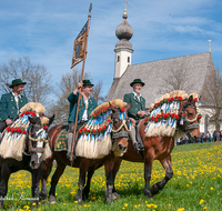 fileadmin/roha/images_galerie/brauchtum/-A-Themenseite/BR-PFRI-TRAUNST-2019-1057-01-D-roha-Brauchtum-Pferdeumritt-Georgiritt-Traunstein-Ettendorfer-Kircherl.png