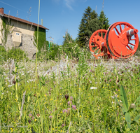 fileadmin/roha/images_galerie/orte_landschaft/Freilassing/FREIL-KREISV-EISB-0051-D-roha-Freilassing-Eisenbahn-Lok-Treib-Achse-Stellwerk.png