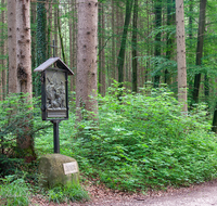 fileadmin/roha/images_galerie/kirche_religion/Ainring-Kreuzweg/KKKM-AINR-KR-05-0031-D-roha-Kreuzweg-Ainring-Ulrichshoegl-Wald-Weg.png