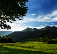 fileadmin/roha/images_galerie/Hintergrund-Download/1024x800/LANDS-ANG-NEUH-0024-D-roha-Landschaft-Anger-Neuhaus-Hochstaufen-Bank-Kuh-Herde.png