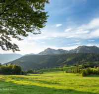 fileadmin/roha/images_galerie/Hintergrund-Download/1024x800/LANDS-ANG-NEUH-0024-D-roha-Landschaft-Anger-Neuhaus-Hochstaufen-Bank-Kuh-Herde.png