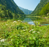 fileadmin/roha/images_galerie/orte_landschaft/Ruhpolding/RUH-FOERCH-S-0002-D-roha-Ruhpolding-Foerchensee-Wasser-Berge-Ufer.png