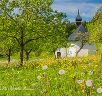 fileadmin/roha/images_galerie/orte_landschaft/Ruhpolding/RUH-URSCHL-0008-roha-Ruhpolding-Urschlau-Kirche-Blumenwiese-Streuobstwiese.png