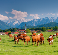 fileadmin/roha/images_galerie/orte_landschaft/Saaldorf/SAAL-0008-8-D-roha.png