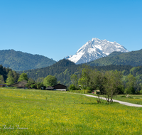 fileadmin/roha/images_galerie/orte_landschaft/Berchtesgaden/Bischofswiesen/BGD-BISCH-HOCHK-0003-D-roha-Berchtesgaden-Bischofwiesen-Hochkalter.png