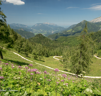 fileadmin/roha/images_galerie/orte_landschaft/Berchtesgaden/Jenner-Schoenau/BGD-JENN-GOTZ-0005-0-01-D-roha-Berchtesgaden-Jenner-Gotzen-Alm-Hoher-Goell-Untersberg.png